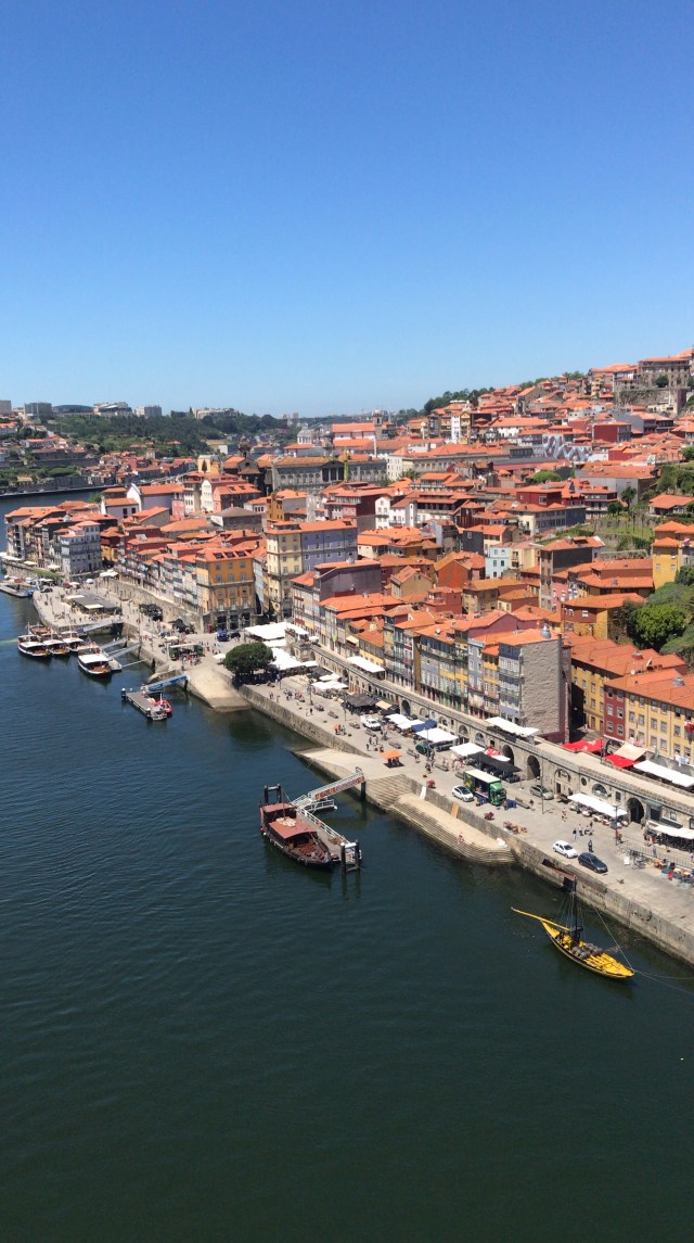 9D82B051-9544-4A2C-AE01-740CC0C9E9A4