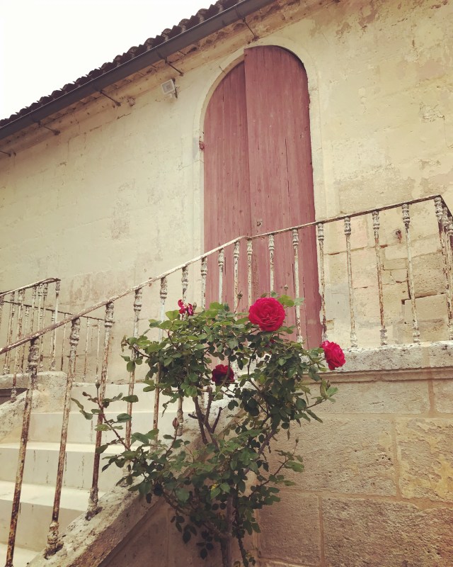 BC9FAF04-1B5C-433A-BC81-9F0235B26B8D